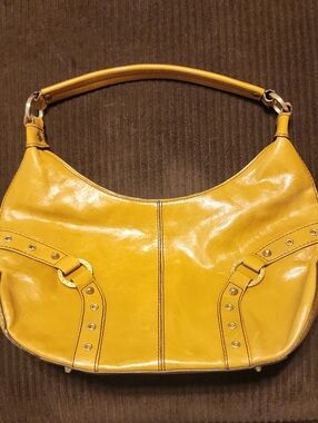 Adtienne Vittadini Hobo Purse